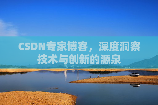 CSDN专家博客，深度洞察技术与创新的源泉
